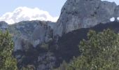 Tour Wandern Saint-Rémy-de-Provence - Mt Gaussier - Photo 9