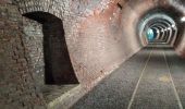 Tocht Stappen Dalhem - botchamp - la saulx- tunnel  - Photo 9