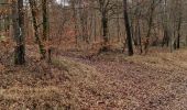 Trail Walking Vouthon-Haut - repérage bois de Greux  - Photo 11