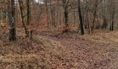 Tour Wandern Vouthon-Haut - repérage bois de Greux  - Photo 11