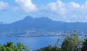 Tour Wandern Les Trois-Îlets - Boucle de Anse à l'âne et Galochat à Trois-Îlets. - Photo 3