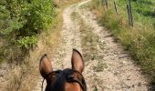 Trail Horseback riding Saint-Apollinaire-de-Rias - St Appollinaire de Rias au top 👍 - Photo 19