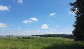 Tour Wandern Tinlot - Ramelot  - Photo 1
