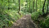 Trail Walking Lisle - Lisle - Bois de l'Epau - Photo 18