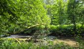 Tocht Stappen Chimay - Lompret - bois de Blaimont - Lompret - Photo 4