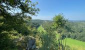 Tour Wandern Rochefort - Entre Lesse et Lomme (GR577) - Photo 16