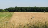 Trail On foot Eching - Heidepfad - Garchinger Heide - Photo 9