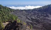 Tocht Stappen El Paso - dag 3 La Palma  - Photo 7