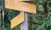Trail Walking Doucier - Balisage Lac de Chambly - Photo 1