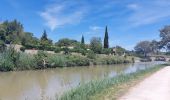 Tocht Stappen Bize-Minervois - CC_Piemont_AC_03_Bize-Minervois_Homps_20240613 - Photo 7