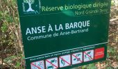 Excursión Ruta Anse-Bertrand - Porte d’enfer le littoral  - Photo 5