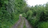 Trail Walking Tinlot - Ramelot-Linchet-Bois de Forkechamps - Photo 5