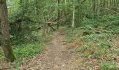 Tour Wandern Thoré-la-Rochette - Thoré-la-Rochette - Vallée et Coteaux du Loir - Photo 12