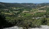 Trail Walking Malaucène - Rand'eau gorges du toulourenc - Photo 3