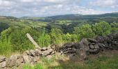 Tour Elektrofahrrad Saint-Urcize - st urcize laguiole st chery - Photo 2