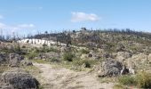 Tour Wandern La Garde-Freinet - Fort Freinet et les roches blanches - Photo 14