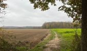 Trail Walking Holsbeek - Holsbeek 15 km - Photo 5