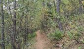 Trail Walking Uvernet-Fours - Cabane de la petite Saume. 27/09/20 - Photo 8