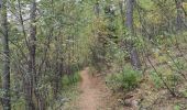 Tour Wandern Uvernet-Fours - Cabane de la petite Saume. 27/09/20 - Photo 8