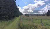 Randonnée Marche Septmoncel les Molunes - mo sentier des lapidaires - Photo 8