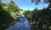 Randonnée Marche Honnelles - Fayt le Franc - Le Caillou qui bique 18km - Photo 13