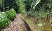 Tocht Stappen São Jorge - Levada del Rei - Photo 20