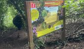 Trail Walking Bassenge - Fort Eben-emael 11 Km  - Photo 16
