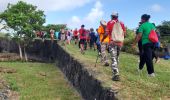 Tocht Stappen Basse-Pointe - boucle basse pointe - Photo 9