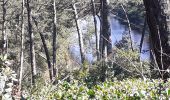 Trail Walking Lège-Cap-Ferret - les réservoirs de Piraillan - Photo 3