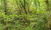 Trail Horseback riding Sougéal - la bouessiere - Photo 2