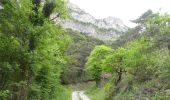 Tour Wandern Romeyer - Col des Bachassons depuis Romeyer - Photo 5