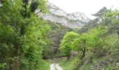 Excursión Senderismo Romeyer - Col des Bachassons depuis Romeyer - Photo 5