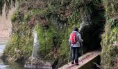 Percorso Marcia Bouillon - Dohan 10 km toer - Photo 9