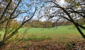 Excursión Senderismo Anthisnes - Marche ADEPS Villers aux Tours - Photo 10