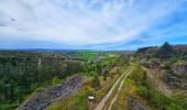 Tour Wandern Doische - Balade de Doische à Foisches - Photo 13