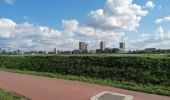 Tour Wandern Temse - GR5A Temse-Antwerpen - Photo 2