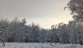 Trail Walking Spa - fagne de malchamp sous les premières neiges de 2025 - Photo 16