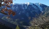 Tocht Stappen Saint-Léger-du-Ventoux - st léger savoillan  - Photo 2