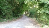 Percorso Bicicletta Lobbes - THUDINIE - Boucle - Forestaille - Thuin - Abbaye d'Aulne - Photo 7