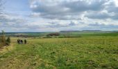Trail Walking Crugny - Crugny du 30/03/2025 - Photo 12