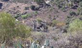 Percorso A piedi Santa Brígida - Camino Borde de Caldera - Photo 3