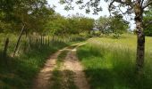 Tocht Stappen Pont-en-Royans - 38 pont en Royans st andre - Photo 5