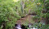 Percorso Marcia Montperreux - La source bleue - Photo 4