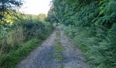 Randonnée Marche Azé - Azé - Bois et Champs - Photo 19