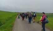 Tour Wandern Belfort - Marche JO Belfort Couthenans - Photo 4