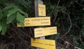 Trail Walking Proveysieux - Proveysieux_Boucle des Essarts - Photo 13