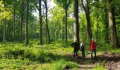 Tour Wandern Nerville-la-Forêt - Rhododendron - Photo 6