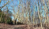 Trail Walking Liège - st Martin . Bernalmont . parc Reine Astrid . retour  - Photo 17