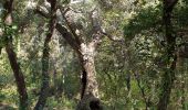 Randonnée Marche Valbonne - garbejaire aqueduc romain biot brague - Photo 12