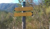 Trail Walking Senez - le poil - Photo 11